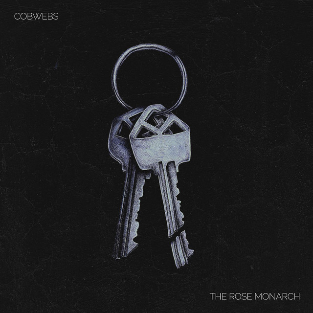 Cobwebs cover