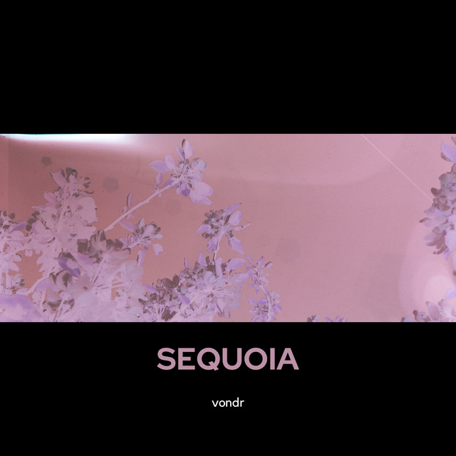 Sequoia cover art
