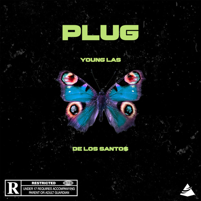Plug cover art