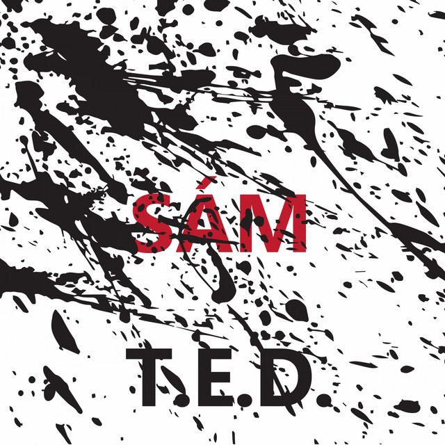 T.E.D.