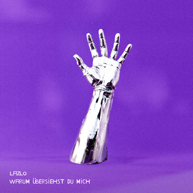 Warum übersiehst du mich? cover art