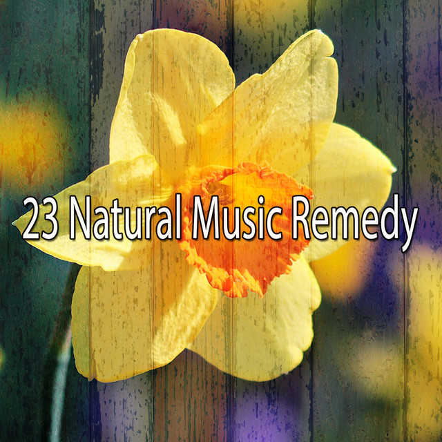 23 Natural Music Remedy - Album by Rest & Relax Nature Sounds Artists ...