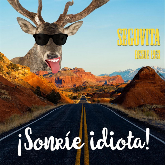 ¡Sonríe Idiota! cover art
