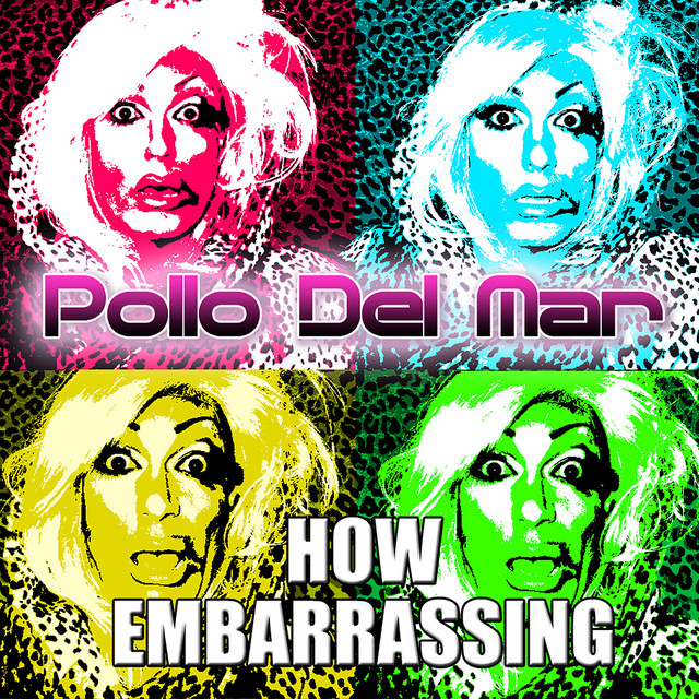 How Embarrassing cover art