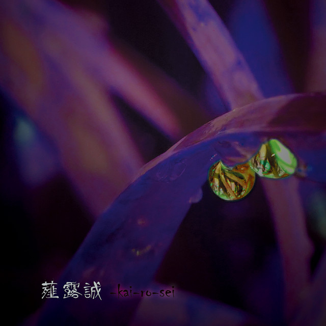 Kai-ro-sei cover art