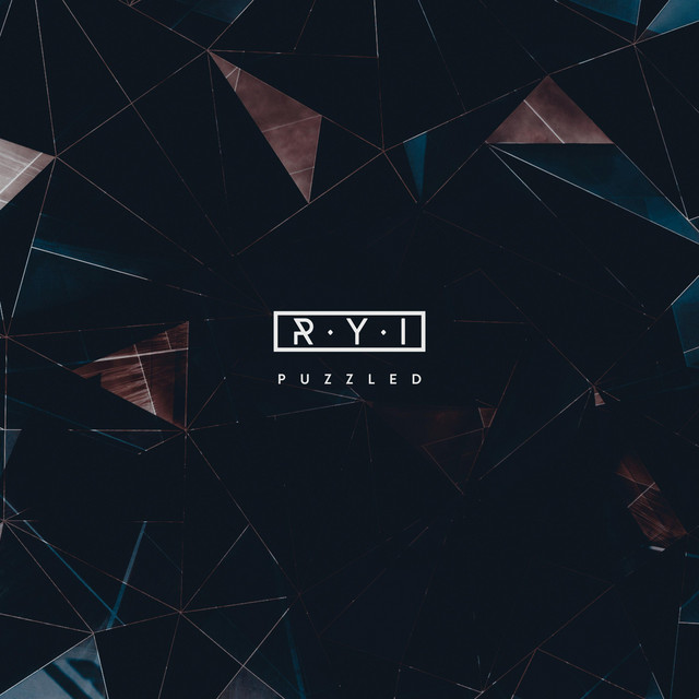 Puzzled cover