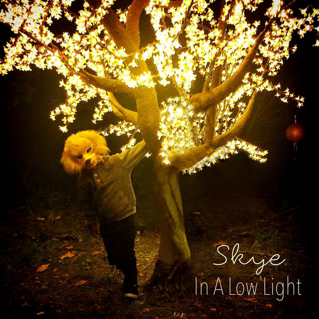 In a Low Light cover art