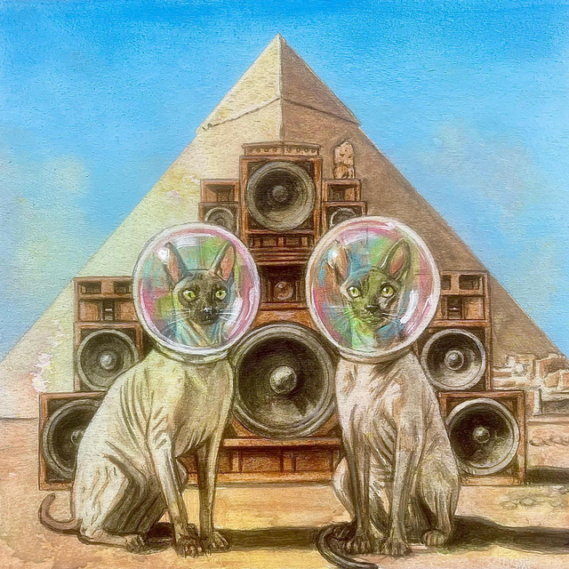 Transmission Dub cover art