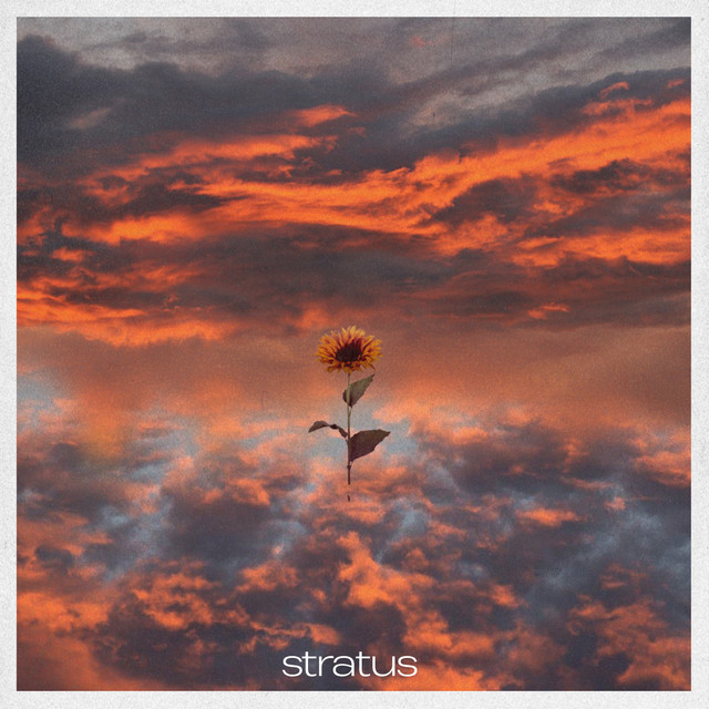 Stratus cover art