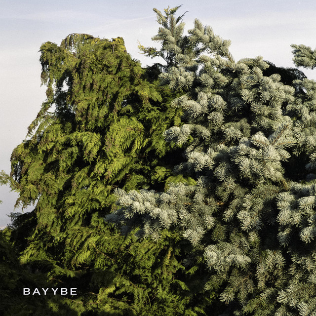 Bayybe cover art