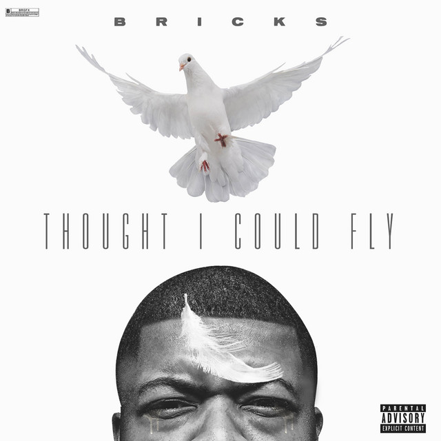 Thought I Could Fly cover art