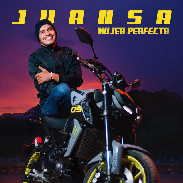 Mujer Perfecta cover