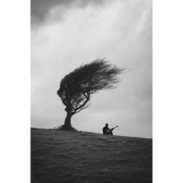 Bad-ı saba cover art