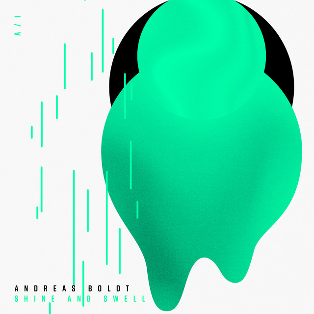 Shine and Swell cover art