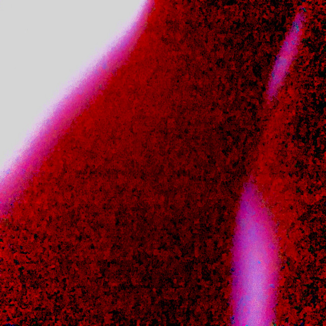 A Comfortable Disease cover art