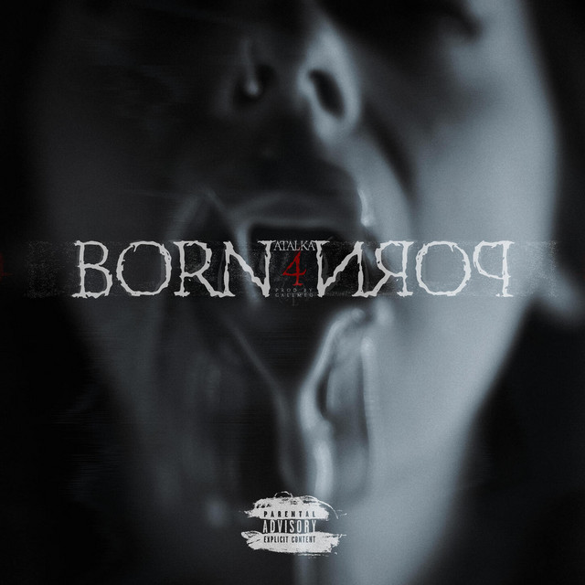 BORN4PORN cover art