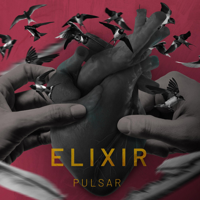 Pulsar cover art