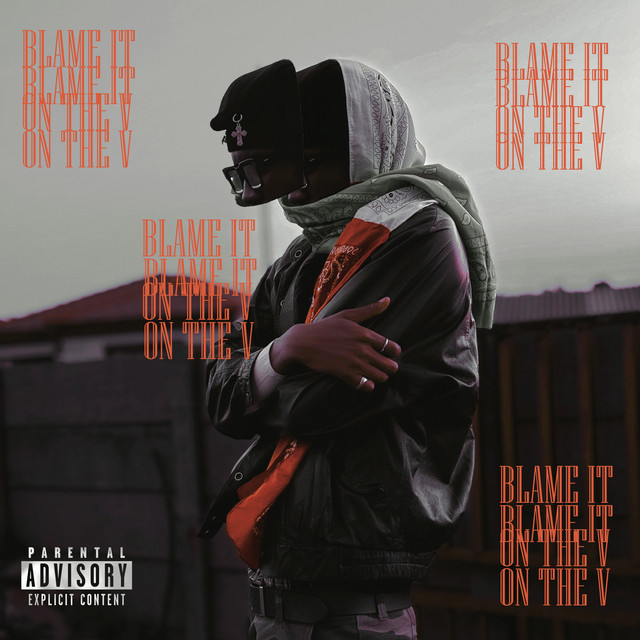 Blame It on the V cover art