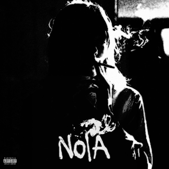 NOIA cover art