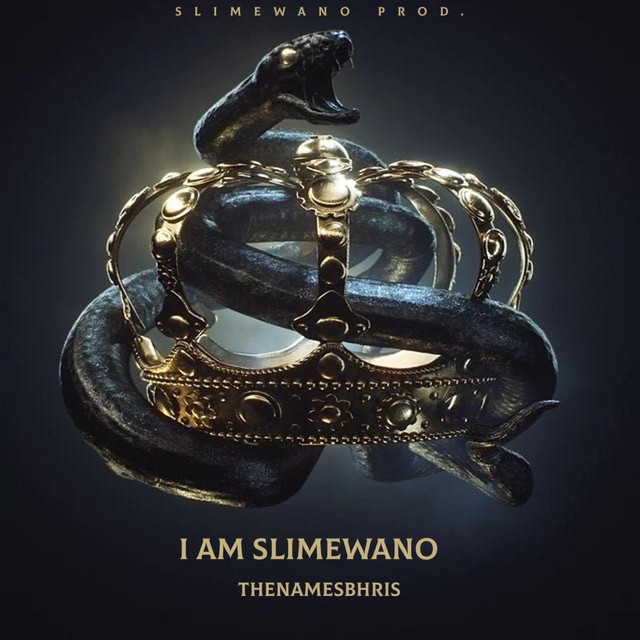 I Am Slimewano album image