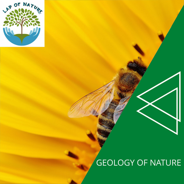 Soothing Ocean Waves cover art