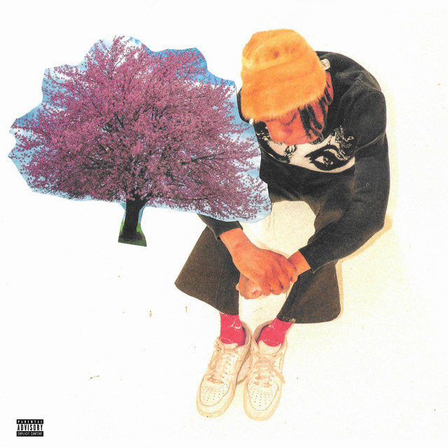 CHERRY BLOSSOM