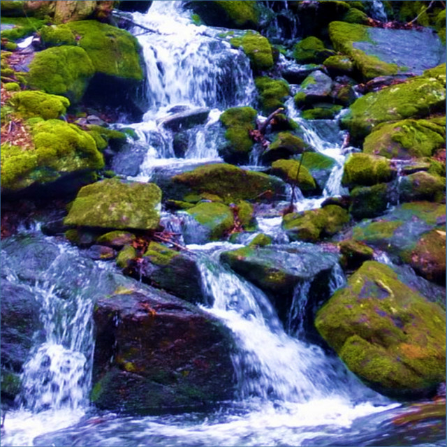 Rocky Rushing Stream cover art