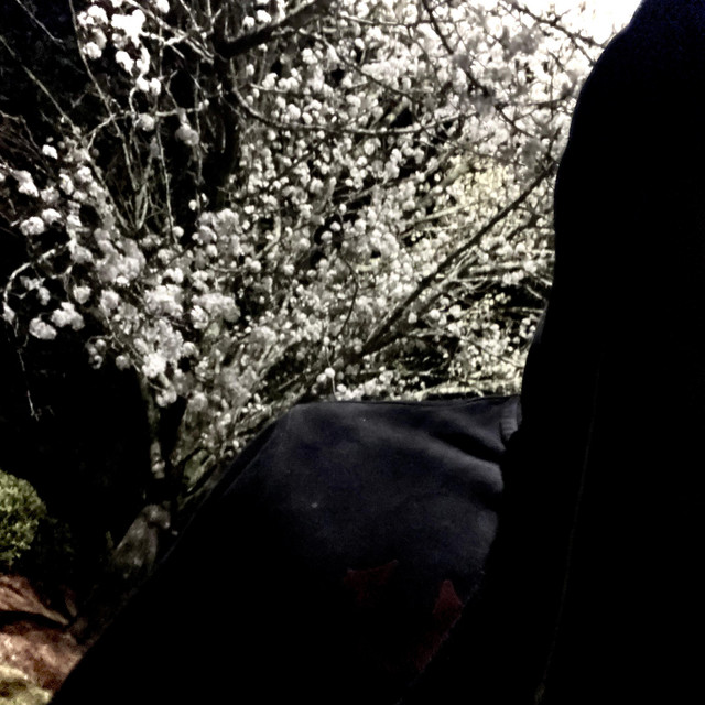 Spring time cover art