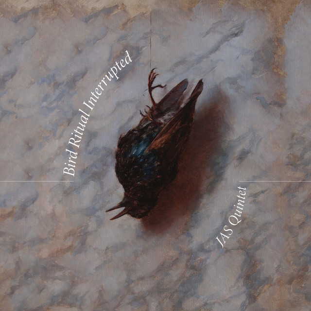 Bird Ritual Interrupted cover art