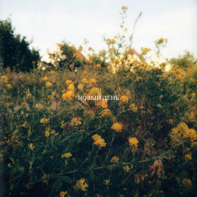 Новый день cover art