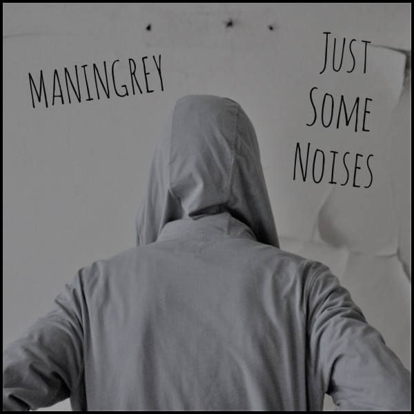 Just Some Noises cover