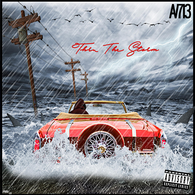 Thru the Storm cover art
