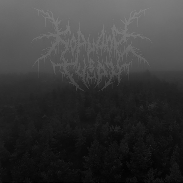 Обкладинка: Silent night — Koridor v Tuman