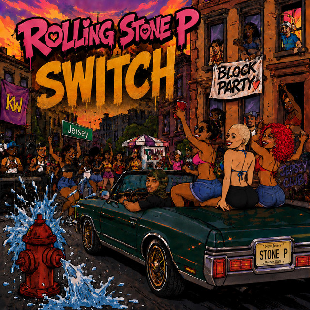 SWITCH cover