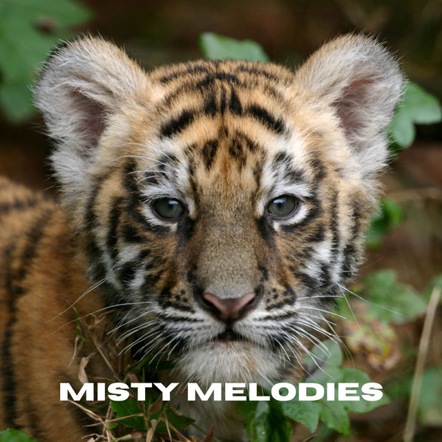 Misty Melodies