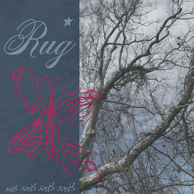 Rug cover art