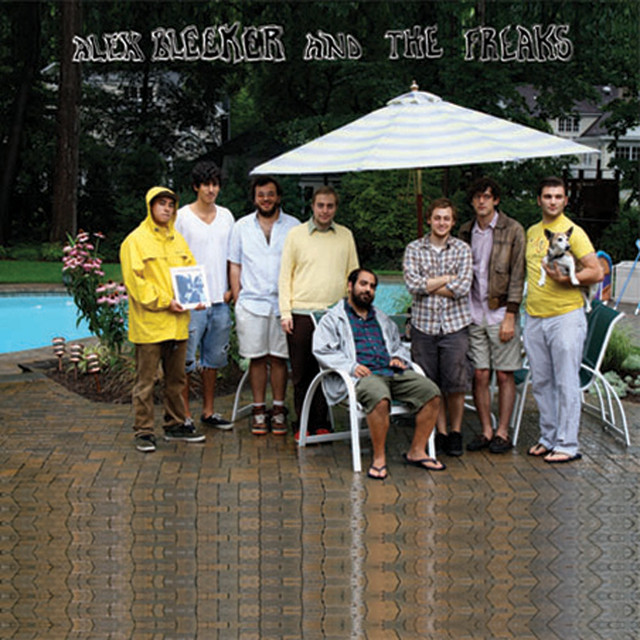 Alex Bleeker and The Freaks cover