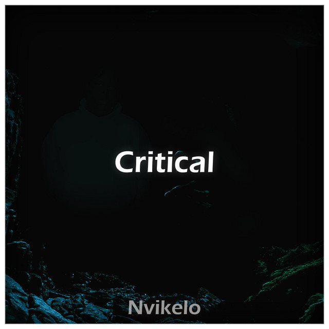 Critical - Single by Nvikelo | Spotify