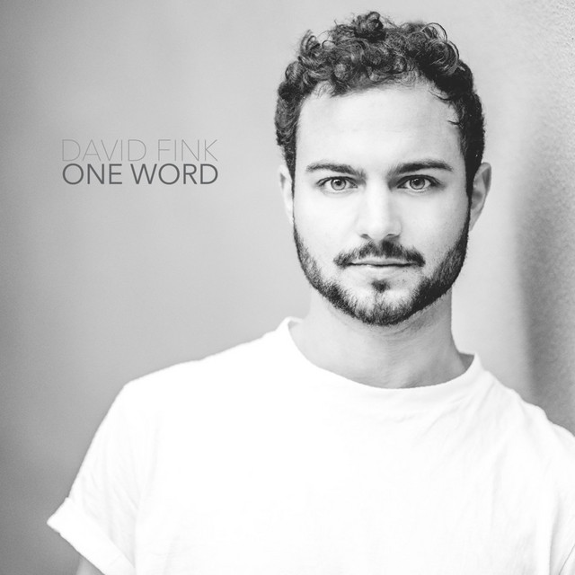 David Fink
