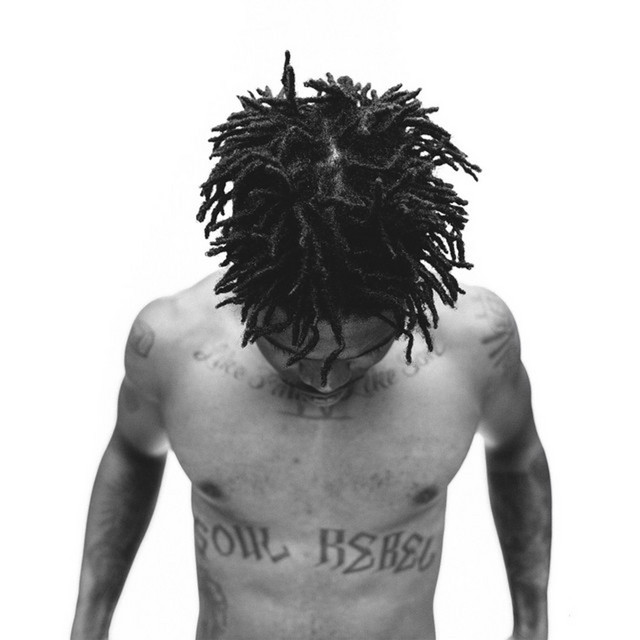 Elementary Trill cover art
