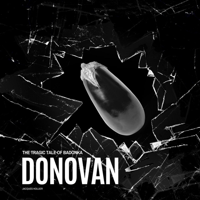 The Tragic Tale of Badonka Donovan cover art
