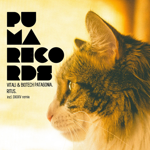 Ritus cover art