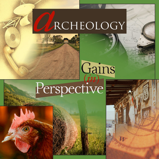 Gains In Perspective cover art