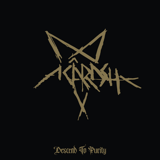 Descend to Purity cover art
