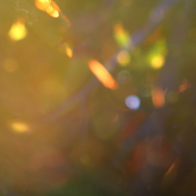 warmth, flickering