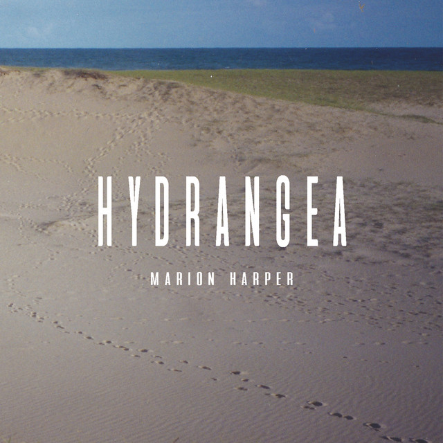 Hydrangea cover
