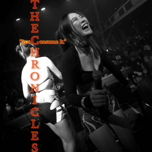 DRINK IT, SMOKE IT, SNORT IT, SHOOT IT (FESTIVAL REMIX) cover art