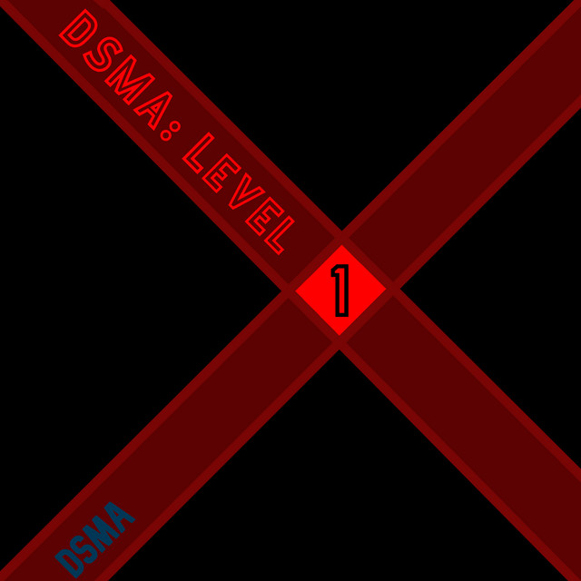 DSMA: Level 1 cover art