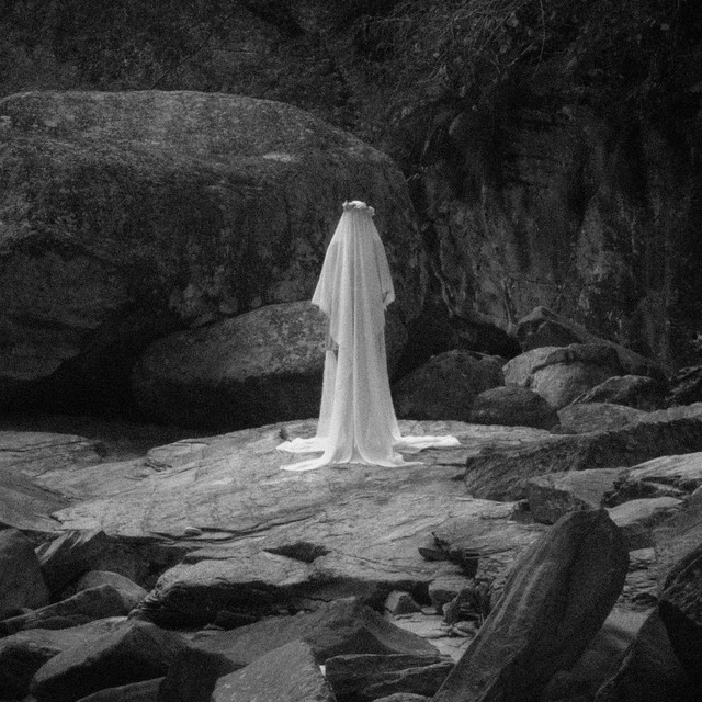 Veils cover art