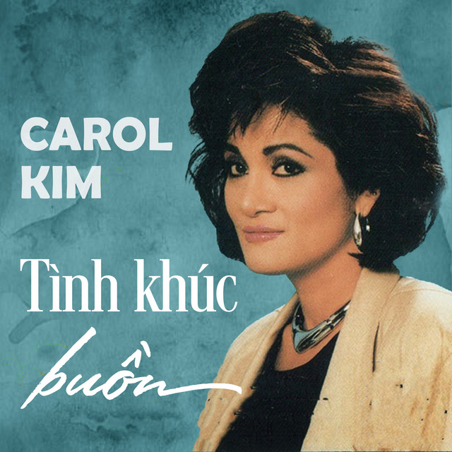 Tình Khúc Buồn (Instrumental) cover art